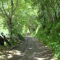 Une belle tape...un beau chemin!