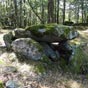 Ce 'chteau sec' est une butte rocheuse entoure d'une murette, ce mgalithe se dresse sur le sommet aplati. Une dalle de plus de 2 mtres de ct repose sur sept rocs dresss. Demeur intact le dolmen a pu tre mthodiquement fouill en 1964. On y a retrouv des tessons funraires, des sagaies et des pointes de flches qui sont exposes au muse d'Albi. Par ailleurs, deux menhirs de prs de 3 mtres de haut se dressent non loin de la D162 en direction du lac, au Pr du Roi et  Paumaurou.