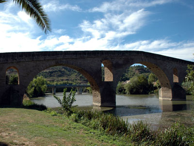 LE CAMINO FRANCES